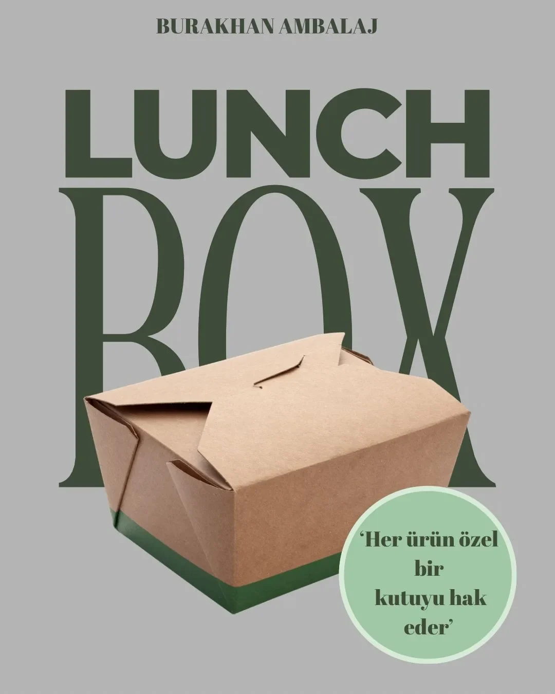Lunch box karton kutu